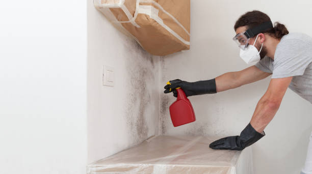 Professional Attic Mold Remediation technician working in Durham, OR